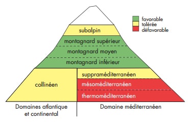 Répartition de l'érable sycomore selon les étages de végétation