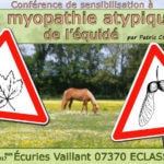 Image conférence MAE - Écuries Vaillant