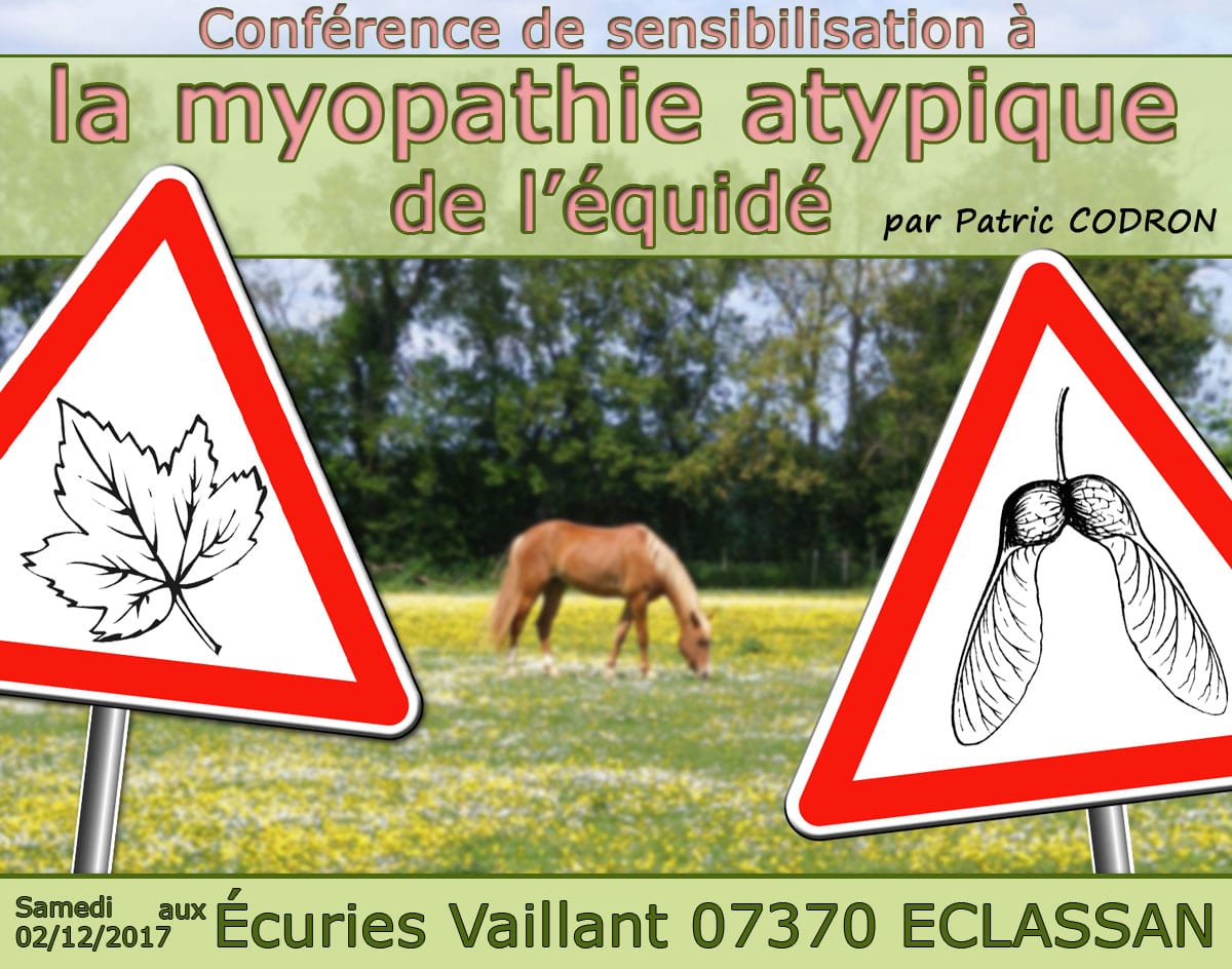 Image conférence MAE - Écuries Vaillant