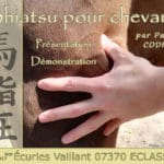Image présentation Shiatsu - Écuries Vaillant