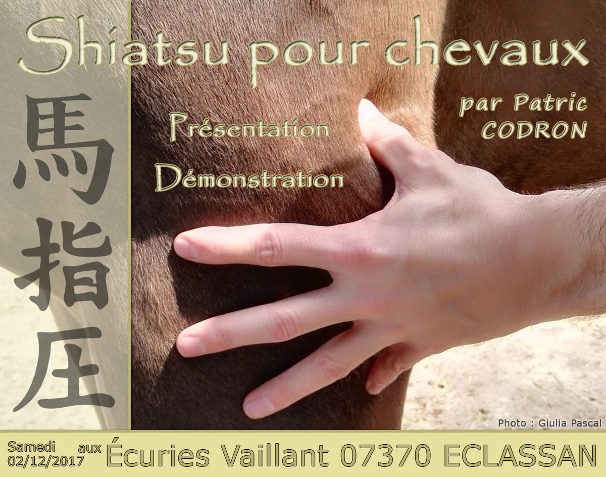 Image présentation Shiatsu - Écuries Vaillant