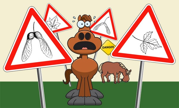 Illustration de couverture pour le dossier sur la myopathie atypique équine.