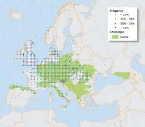 Répartition de l'érable sycomore en Europe