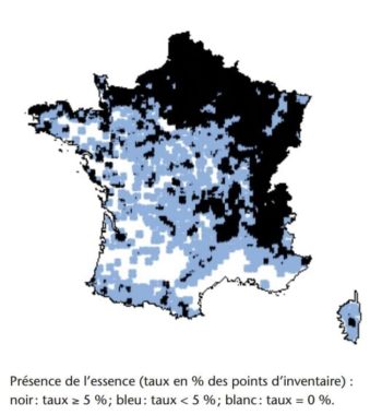 Carte de France montrant la densité et la répartition de l'érable sycomore.
